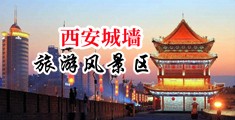 欧美高清大吊xxx中国陕西-西安城墙旅游风景区