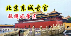 啊哦，都湿透了让我摸你小说中国北京-东城古宫旅游风景区